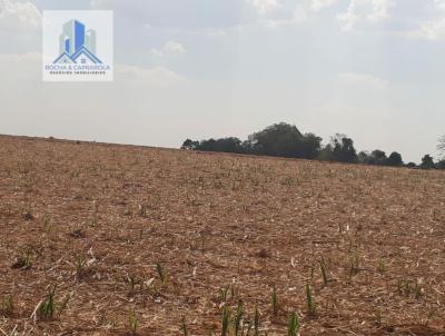 Terreno Comercial para Venda, em Cesrio Lange, bairro Centro