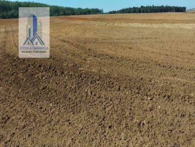 Terreno Comercial para Venda, em Angatuba, bairro Centro, 1 dormitrio, 1 banheiro, 1 vaga