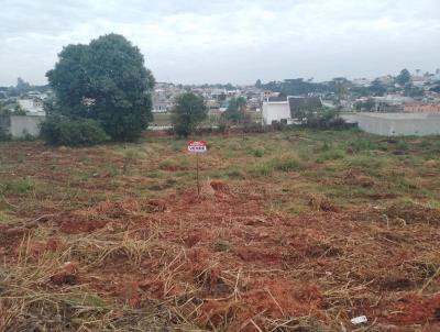 Lote para Venda, em Prudentpolis, bairro DOMINGOS LUIS