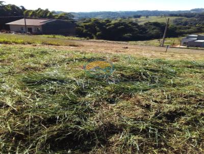 Terreno para Venda, em Monte Alegre do Sul, bairro Mostardas