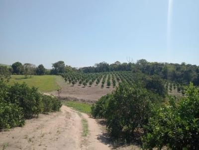 Fazenda para Venda, em Araruama, bairro Centro (So Vicente), 4 dormitrios, 3 banheiros