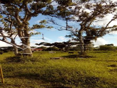 Terreno para Venda, em Passo de Torres, bairro Arraial