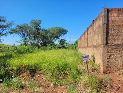 Terreno para Venda, em Salto Grande, bairro Vila Salto Grande