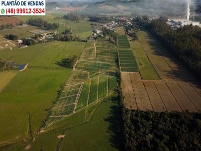 Terreno para Venda, em Cricima, bairro So Domingos