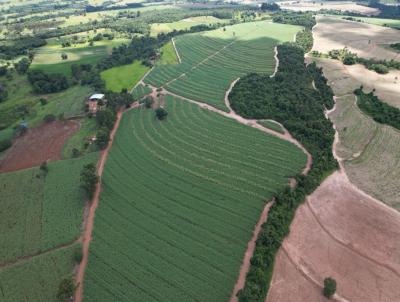 Stio para Venda, em Cajuru, bairro Zona Rural