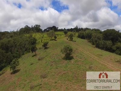 Terreno para Venda, em Piedade, bairro Godinhos