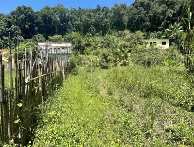 Chcara para Venda, em Miracatu, bairro Santa Rita do ribeira