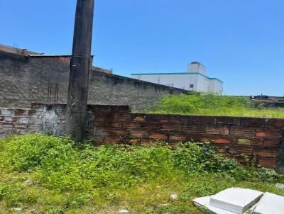 Terreno para Venda, em So Vicente, bairro Rio Branco