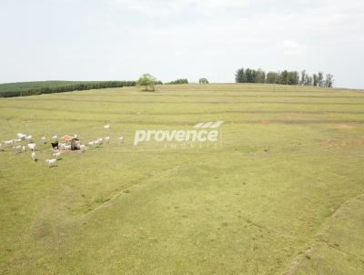 Fazenda para Venda, em Cafelndia, bairro Centro