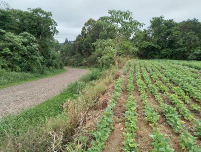 Terreno para Venda, em Prudentpolis, bairro BARRA BONITA