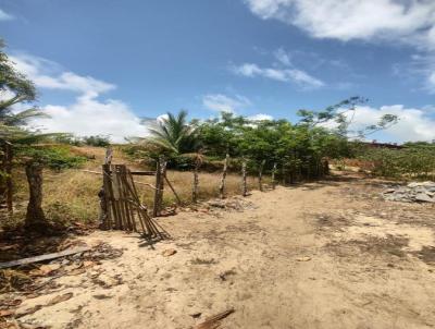 Terreno para Venda, em Tibau do Sul, bairro Praia da Pipa