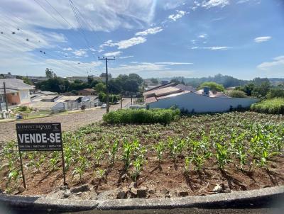 Terreno para Venda, em Maravilha, bairro Pioneiro