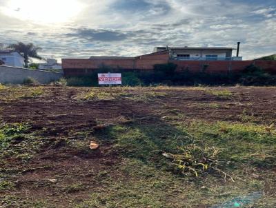 Terreno para Venda, em Santa Rosa, bairro Timbava