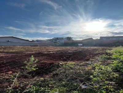 Terreno para Venda, em Santa Rosa, bairro Timbava