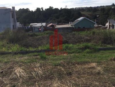 Terreno para Venda, em Santa Rosa, bairro Central