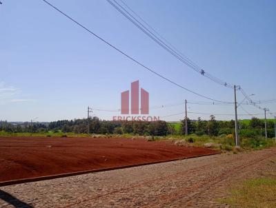 Terreno para Venda, em Santa Rosa, bairro Auxiliadora