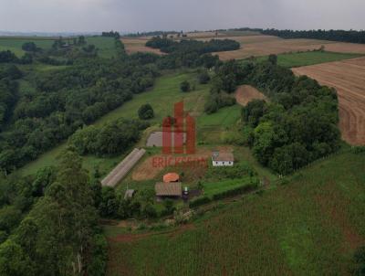 rea Rural para Venda, em Santa Rosa, bairro Auxiliadora, 3 dormitrios, 1 banheiro