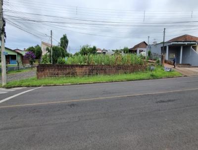 imagem-miniatura