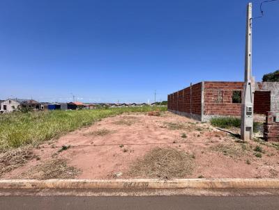 Terreno para Venda, em Lins, bairro Parque das Flores