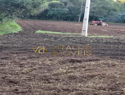 Stio / Chcara para Venda, em Capetinga, bairro Capetinga e Cssia