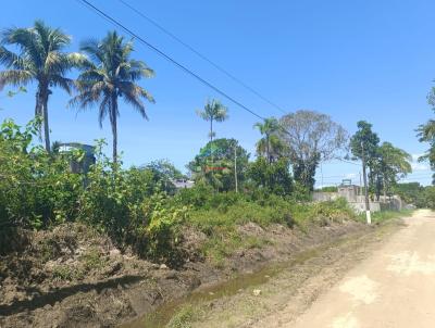 Terreno para Venda, em So Sebastio, bairro Boraceia