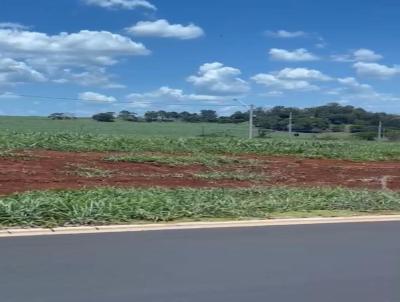 Terreno em Condomnio para Venda, em Ribeiro Preto, bairro Residencial Alto Do Castelo