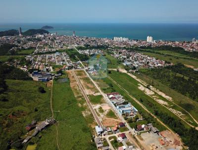 Terreno para Venda, em Penha, bairro Nossa Sra Ftima