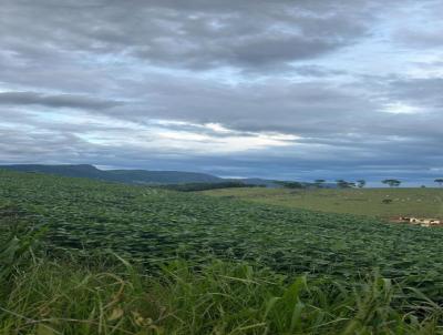 Fazenda para Venda, em Lambari, bairro 0000