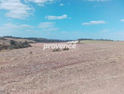 Fazenda para Venda, em Charqueada, bairro Centro