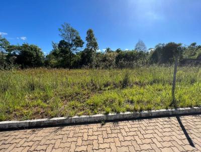 Terreno para Venda, em Dois Irmos, bairro Sete De Setembro