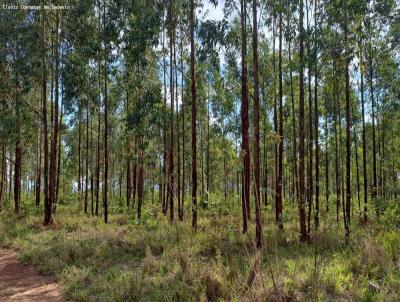 Fazenda para Venda, em Felixlndia, bairro Zona Rural