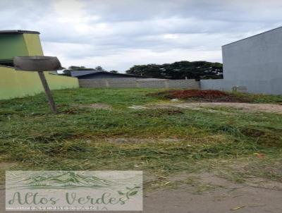 Terreno para Venda, em Pinhalzinho, bairro Residencial Imperio