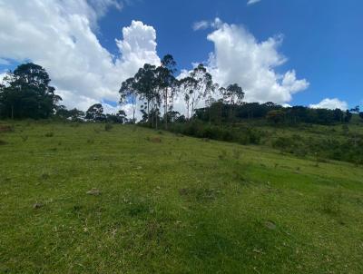 Stio / Chcara para Venda, em Toledo, bairro Pinhal Grande, 5 dormitrios