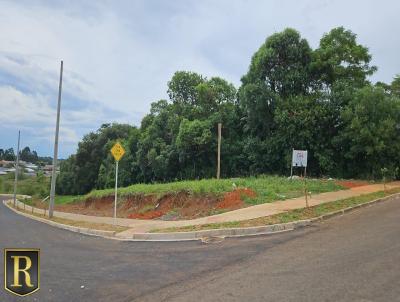 Terreno para Venda, em Guarapuava, bairro Vila Bela