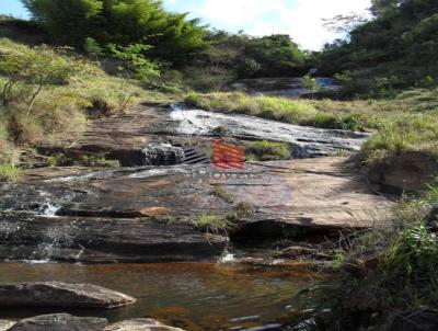 Fazenda para Venda, em Cunha, bairro ENTRECOSTO