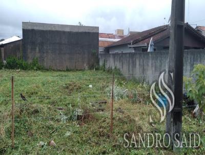 Terreno para Venda, em Balnerio Barra do Sul, bairro Pinheiros