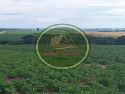 rea Rural para Venda, em Capanema, bairro .