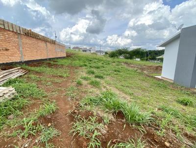 Terreno para Venda, em , bairro Dona Carolina