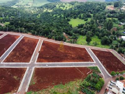 Terreno para Venda, em Cascavel, bairro Universitario