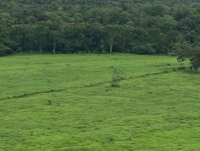 Fazenda para Venda, em Juqui, bairro Zona Rural, 4 dormitrios, 3 banheiros, 2 sutes, 5 vagas