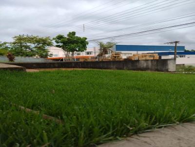 Terreno para Venda, em Videira, bairro Farroupilha