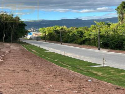 Terreno para Venda, em Sapiranga, bairro So Luis