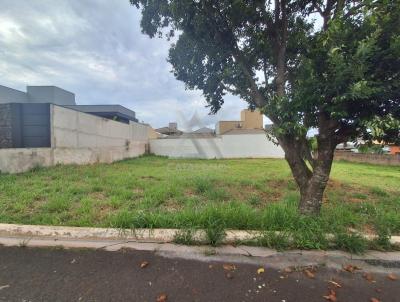 Terreno para Venda, em Bauru, bairro Quinta Ranieri