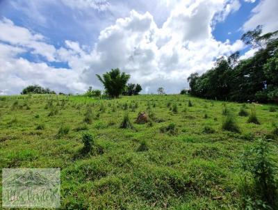 Terreno Rural para Venda, em Pinhalzinho, bairro .