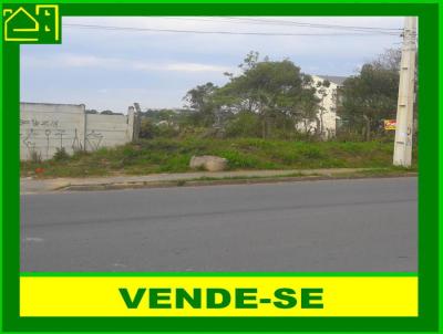 Terreno para Venda, em Almirante Tamandar, bairro Campina do Arruda
