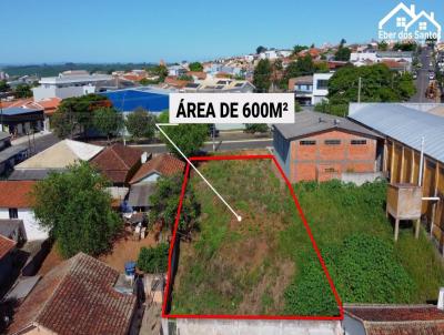 Lote para Venda, em Wenceslau Braz, bairro Centro