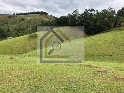 Stio para Venda, em So Lus do Paraitinga, bairro Raizeiro