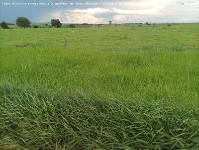 Fazenda para Venda, em Paranaba, bairro Zona Rural