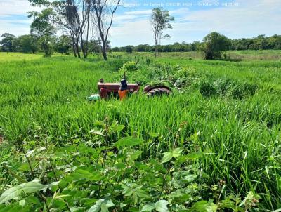 Fazenda para Venda, em Itarum, bairro Zona Rural