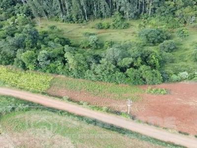 Chcara para Venda, em Humait, bairro interior